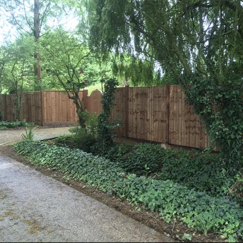 Close board fencing behind a planted border