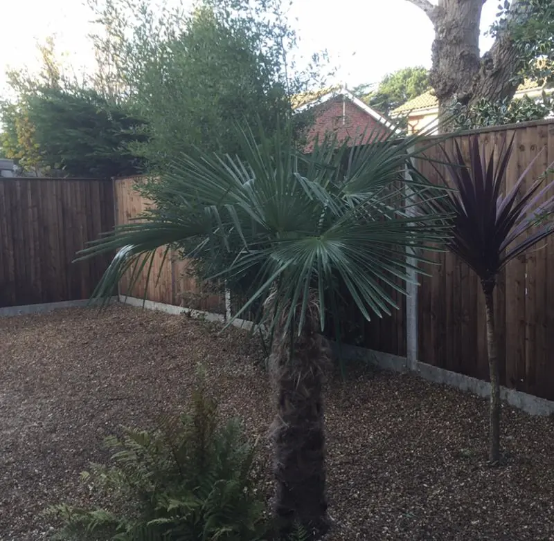 Bespoke close board fencing on concrete posts and concrete gravel boards